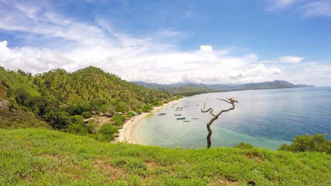 5 curiosidades sobre o Timor-Leste