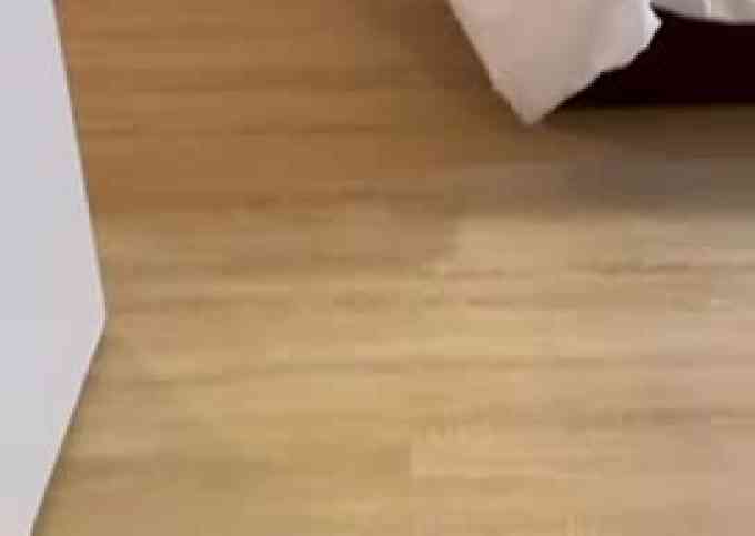 Your Urban Retreat Steps from Allianz Parque with Becker Studios Rentals!