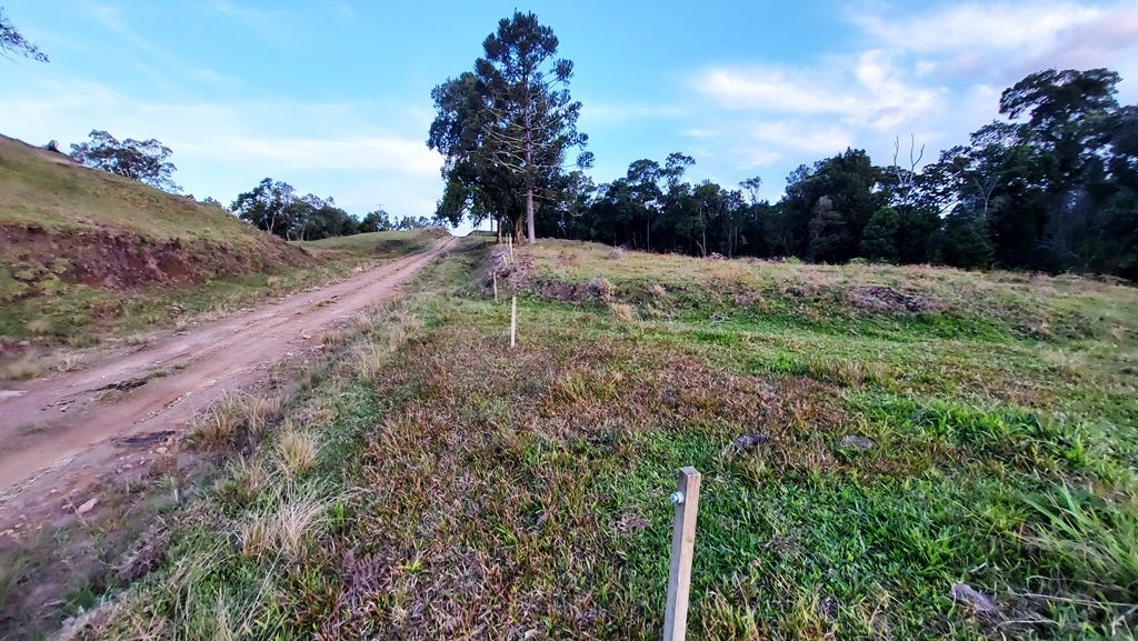 Fazenda à venda com 95 hectares para Gado em Presidente Nereu SC