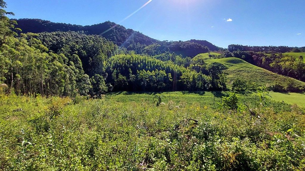 Terreno Rural para Sítio 10 hectares com Reflorestamento em Agrolândia SC