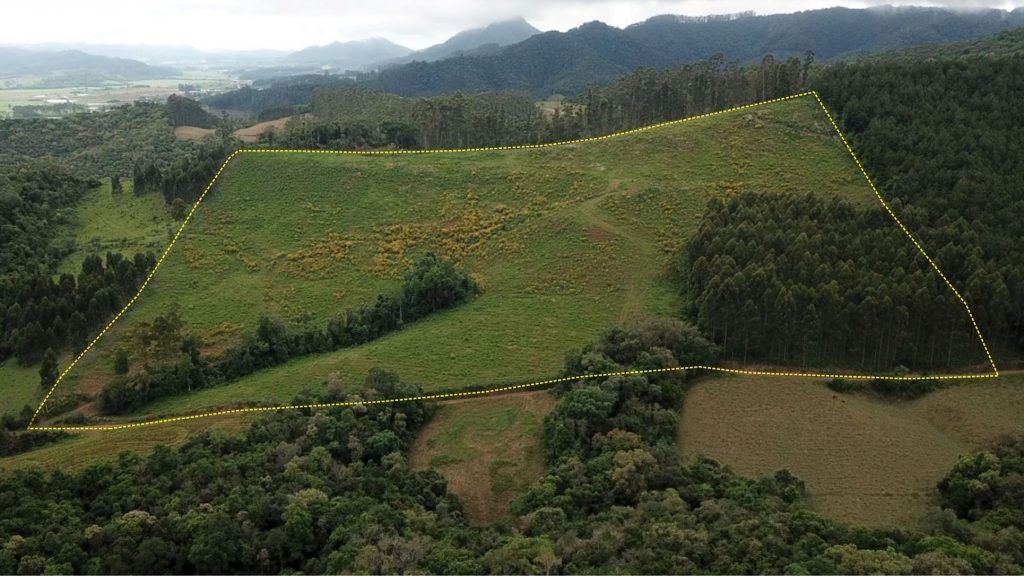 Terreno Rural à venda de 10 hectares em Rio do Campo Santa Catarina
