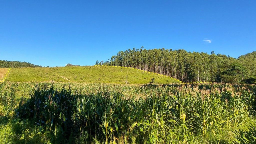 Terreno para Sítio à Venda de 3 hectares com Riacho em Agrolândia SC