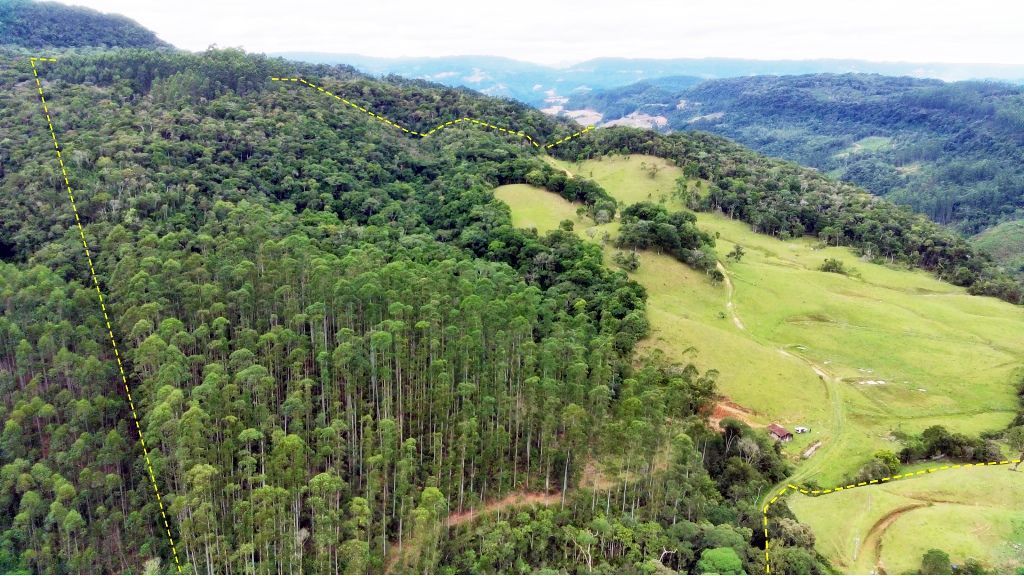Terreno Rural à Venda para Pecuária de 44 hectares em Presidente Nereu Santa Catarina